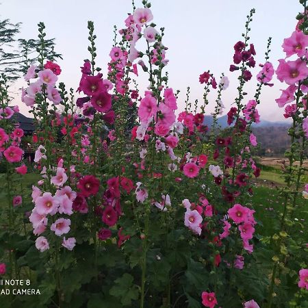 Phu Pai Art Resort Mae Hong Son Exteriör bild