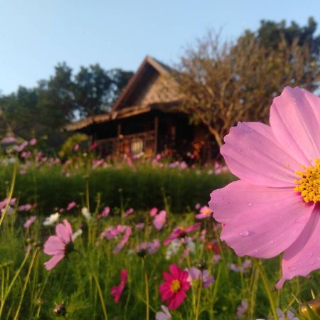 Phu Pai Art Resort Mae Hong Son Exteriör bild
