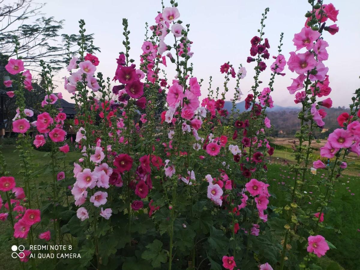 Phu Pai Art Resort Mae Hong Son Exteriör bild