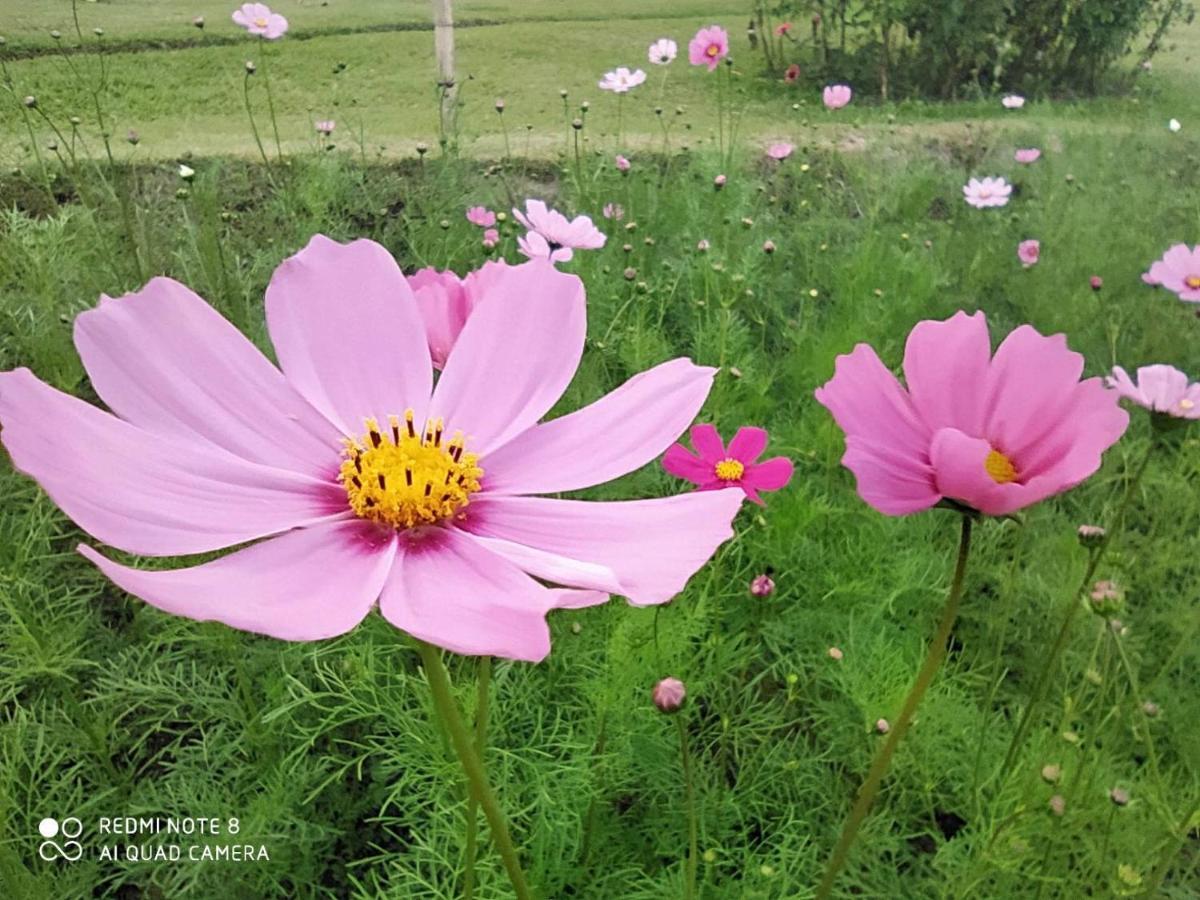Phu Pai Art Resort Mae Hong Son Exteriör bild
